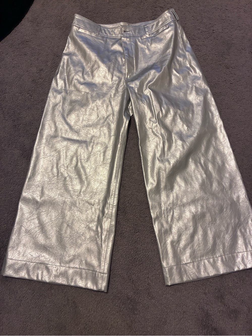 Anthropologie Shimmering Silver Wide-Leg Faux-Leather Pants